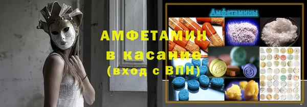 индика Михайловка