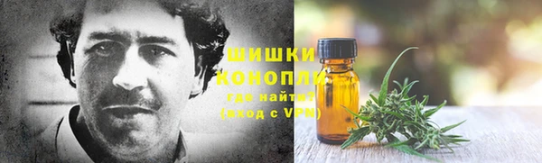 индика Михайловка