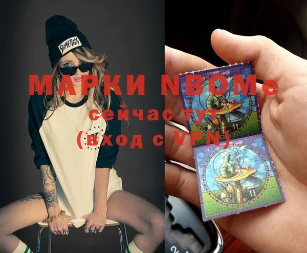индика Михайловка