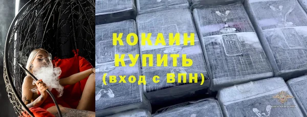 индика Михайловка