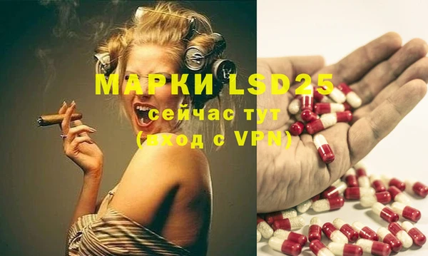индика Михайловка