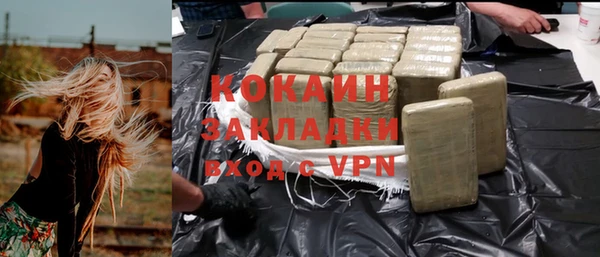 индика Михайловка
